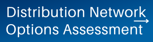 Distribution Network Options Assessment.png