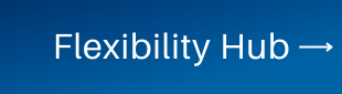 Flexibility Hub.png